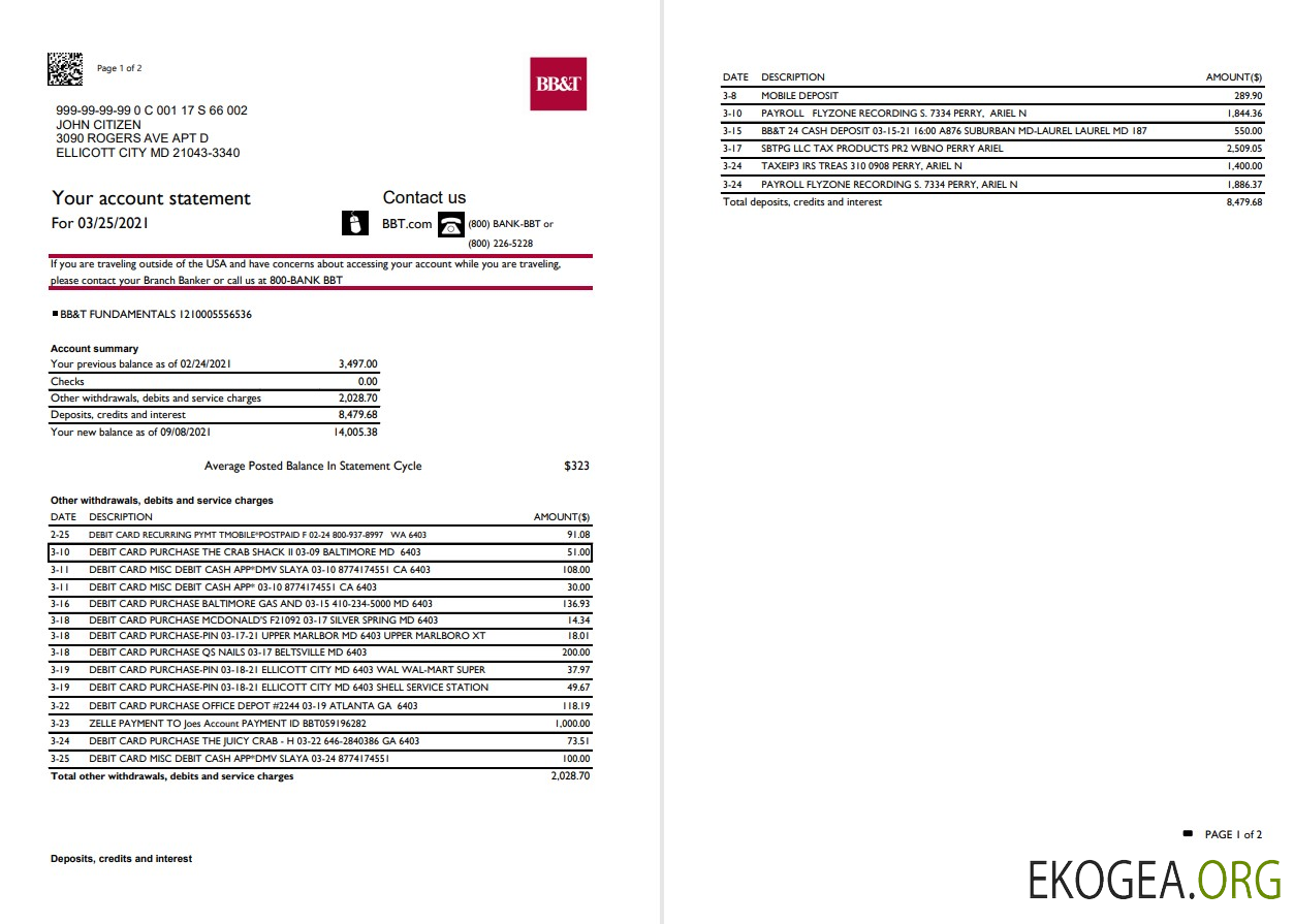 Modèle de relevé bancaire USA Caroline du Nord BB&T Corp. au format Excel et PDF (2 pages)
